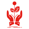 Advisory & Coaching Maticmind
